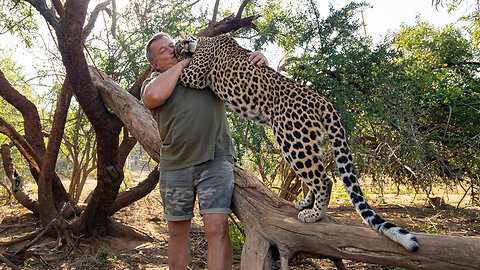 The Man Who Cuddles Lions