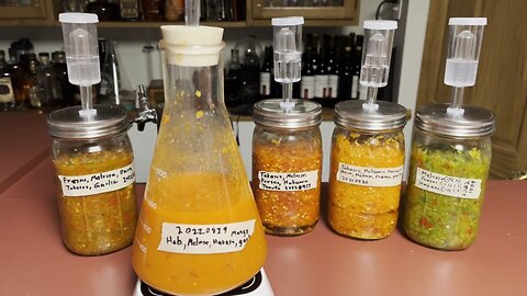 Fermented Hot Sauce Via the Pepper Mash Method (Part 1)