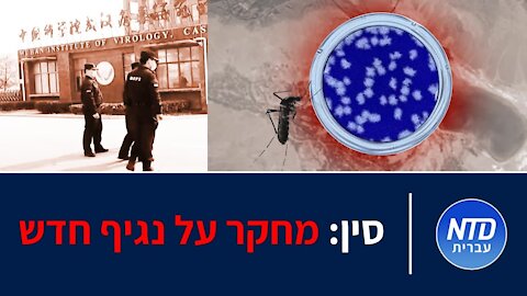 סין: מחקר על נגיף חדש