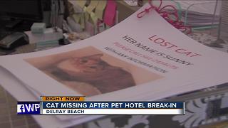 Cat missing after Delray Beach pet hotel break-in