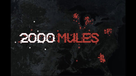 2000 mules trailer romana