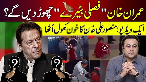 Imran Khan to quit "Seasonal Quails"? | One Video: Why Mansoor Ali Khan got ANGRY?