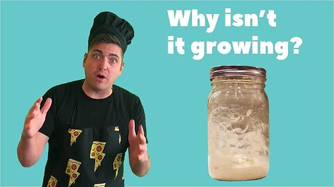 Why isn't my sourdough starter growing? (Wild Sourdough)