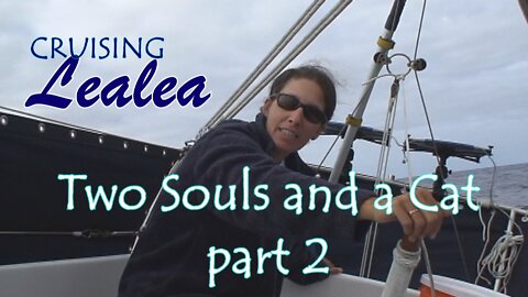Two Souls and a Cat: The First Voyage - Honolulu to Neah Bay, WA Part 2