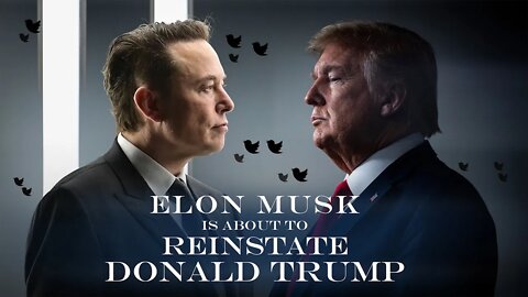 Elon Musk Will Reinstate Trump