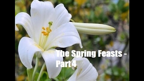 The Spring Feasts 2020 - Part 4