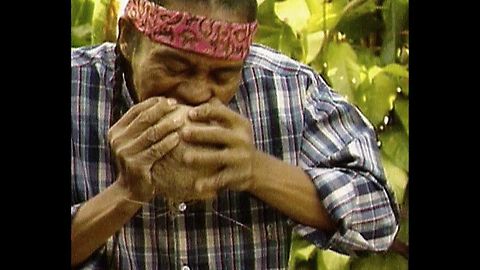 Man Strips Coconuts With Teeth