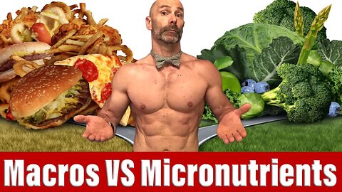 Macros vs Micros What You Need To Know