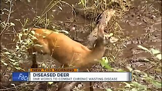 DNR wants hunters to help fight Chronic Wasting Disease