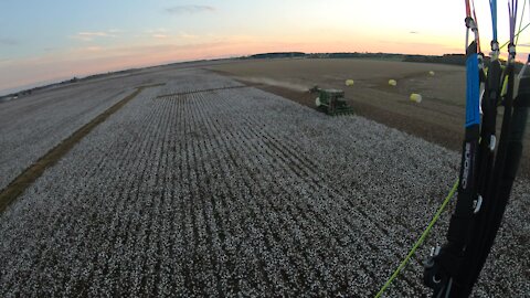 Gotta love this cotton pickin weather