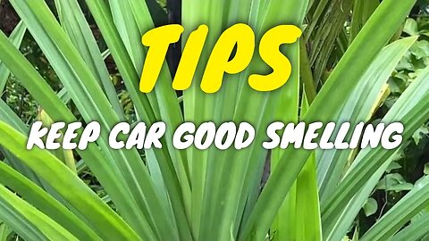 Keep Your Car Smelling Good with These Simple Tips - Pandanus leaves