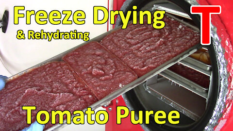 Freeze Drying & Rehydrating Tomato Puree