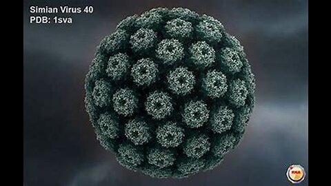 Simian Virus 40 Found In Pfizer C-19 Vaccines, Obama/Lugar Ukraine 2005, Senators Given Sat Phones