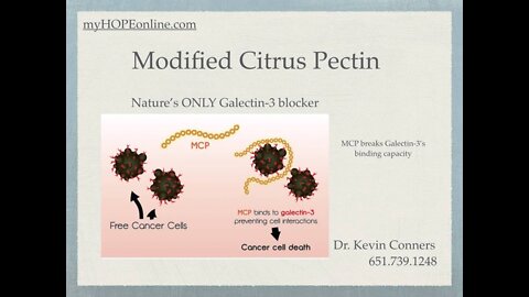 Modified Citrus Pectin - "Nature"s Chelator"