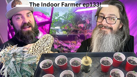 The Indoor Farmer ep133! More Micro Greens, New Seedlings Sprouting & A Mushroom?