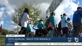 29th annual 'Walk for Animals' raises $300K for San Diego Humane Society