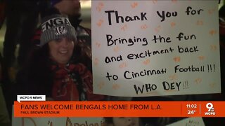 Bengals fans show out as team returns to Cincinnati
