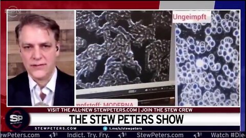 Witness Says Covid Vaxxed Blood Shows DAMAGE IN 100% OF THOSE TESTED - Short Clip from Stew Peters