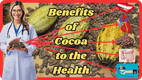 Cocoa - 13 Great reasons to include it in your diet.