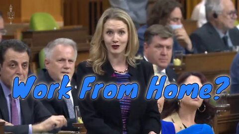CPC highlight ongoing Passport, Service Canada delays, working for home