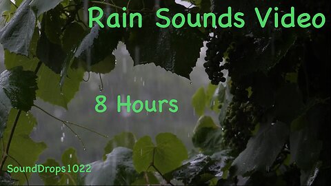 8-Hour Rain Sound Sleep: Full Night’s Peace