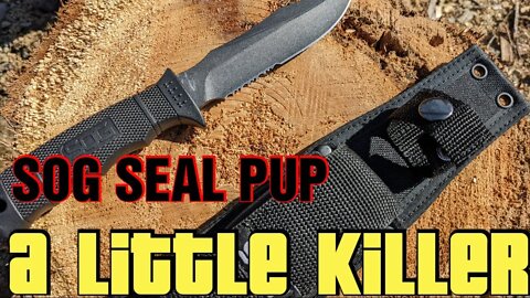 SOG SEAL PUP a small killer