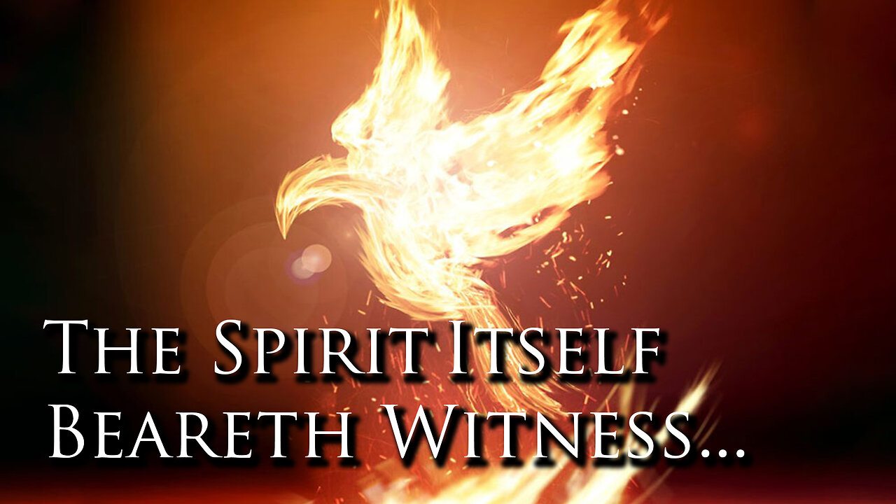 The Spirit Itself Beareth Witness... | Pastor Anderson