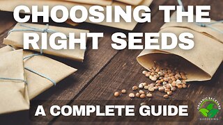 Choosing the Right Seeds for Your Garden: A Complete Guide