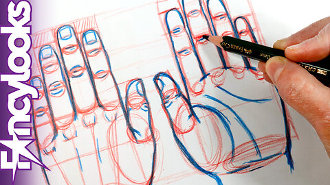 Dibuja manos fácil 1: las proporciones