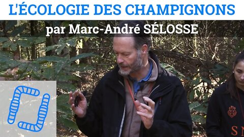 L'Écologie des Champignons - Marc-André SÉLOSSE