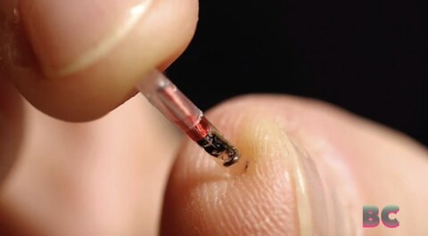 Human microchip implants take center stage
