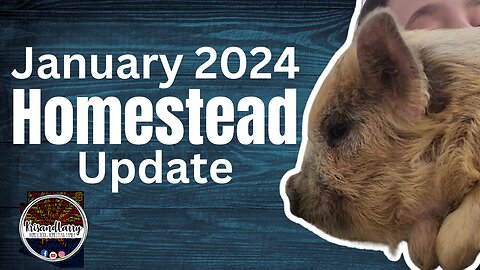 January 2024 - homestead update