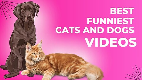 Best Funniest Cats And Dogs Videos Ever Compilation 2024