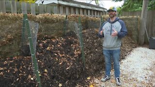Local man launches composting program 'Greener Bay Compost' out of his backyard