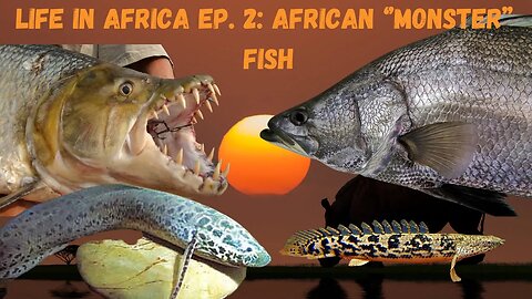 Life In Africa Ep. 2: Africa's Freshwater River MONSTERS