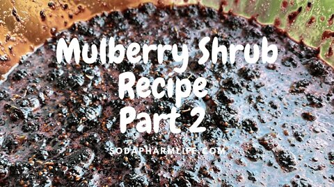 Mulberry Shrub Part 2