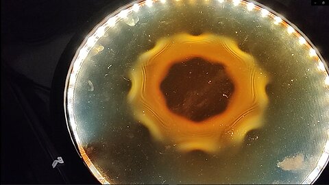 My DIY Magnetic Field Viewer (i.e. Ferro-Cell) and some interesting magnetic arrangements