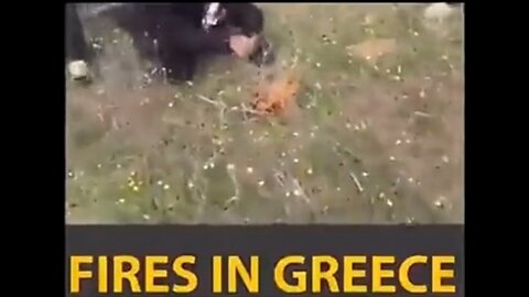 Fires in Greece being intentionally set by a wave of illegal immigrants