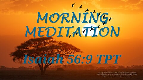 Morning Meditation -- Isaiah 56 verse 9 TPT