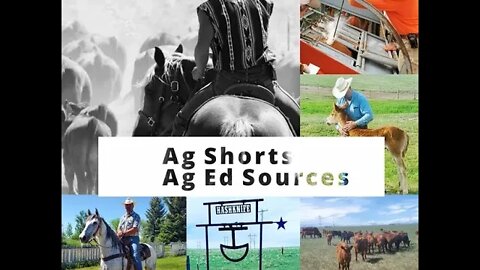 Ag Education & Training Sources - Ag Shorts