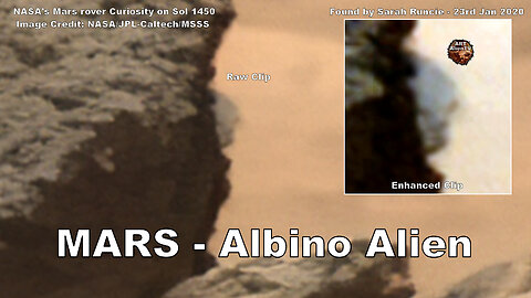 MARS - Albino Alien Spotted ? ArtAlienTV