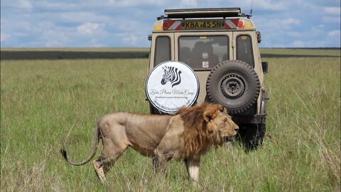 Zebra Plains Collection | Mara And Amboseli Camps | Kenyan Safari
