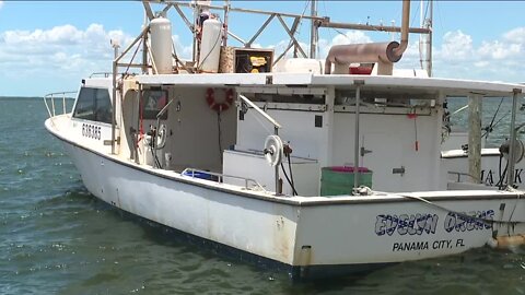 Overfishing concerns in SWFL