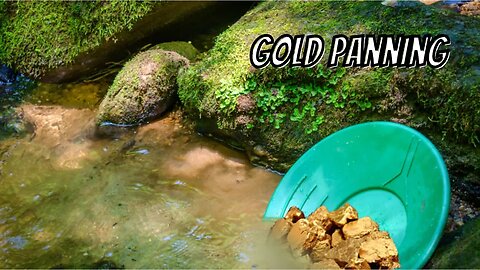Gold Panning EVERYWHERE in the Bedrock!
