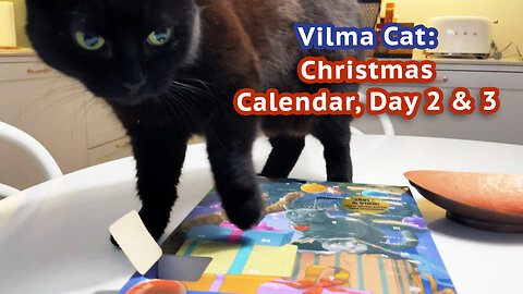 Vilma Cat Christmas Calendar Day 2 and 3