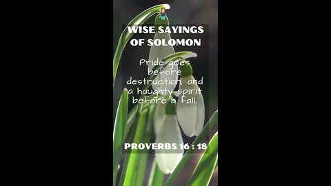 Proverbs 16:18 | NRSV Bible | Wise Sayings of Solomon