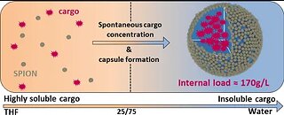 PAYLOAD: Nanocapsules