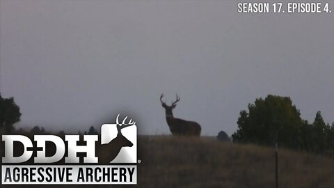 Aggressive Archery | Deer & Deer Hunting TV
