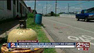 Woman recovers from sexual assault and stabbing