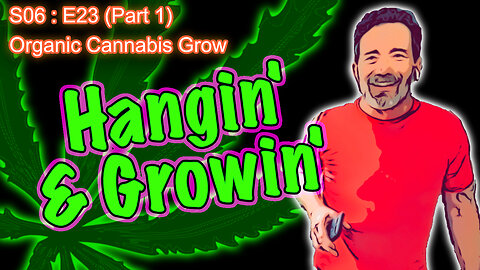 S06 E23 PART 1 || Day 155 of Flower || How to Water and Grow Cannabis for Beginners ||